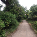 用户对于NAAN的评论图