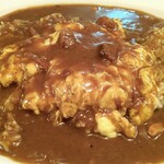 用户对于カレー専門店 印度 北2条店的评论图