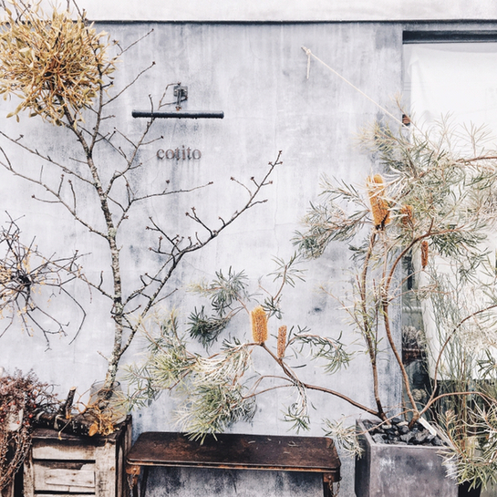 用戶對於コチト ハナトオカシト的評論圖