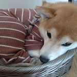 User's review image for シオユメソウケンリノベーションカフェ