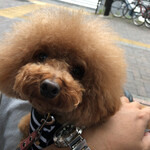 用戶對於スターバックス・コーヒー 四谷3丁目店的評論圖