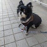 User's review image for HiO ICE CREAM Atelier 自由が丘