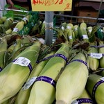 User's review image for 新鮮ひろば かのな