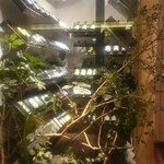 用戶對於炭火・焼鳥 鶫 中洲川端店的評論圖