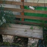 User's review image for ブルク