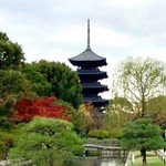 用户对于東寺うどん的评论图