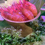 用户对于すし処おさえ的评论图