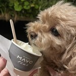 User's review image for PATISSIERE MAYO flat