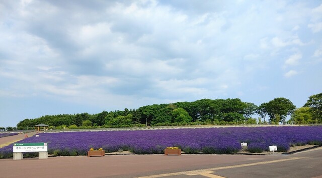 User's recommendation image for 花のCAFE