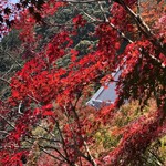 User's review image for みかえり茶屋