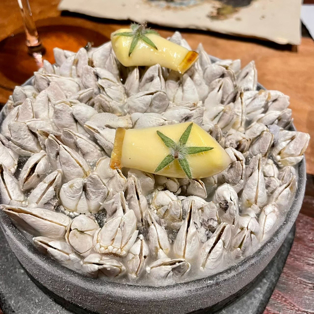 用戶對於MAZ的評論圖