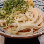 User's review image for 丸亀製麺 東京ドームシティ店