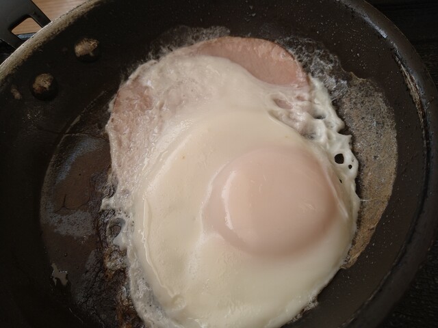 用戶對於吉野家 環状通美園店的評論高清圖