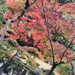 用戶對於無鄰菴的評論圖