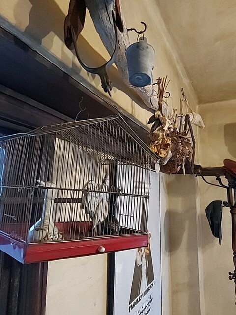 用户对于トヨクニ･コーヒー ニカイ的评论高清图