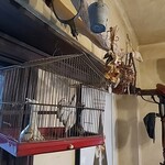 用户对于トヨクニ･コーヒー ニカイ的评论图