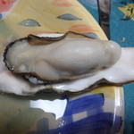 用户对于湧鮮館的评论图