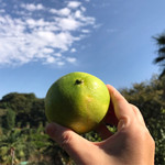用戶對於城山オレンヂ園的評論圖