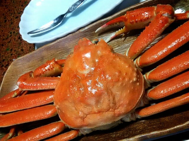 User's review image for かず子