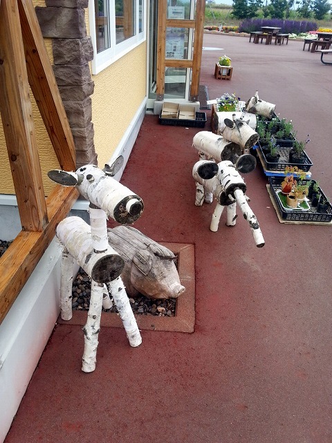 User's review image for 花のCAFE