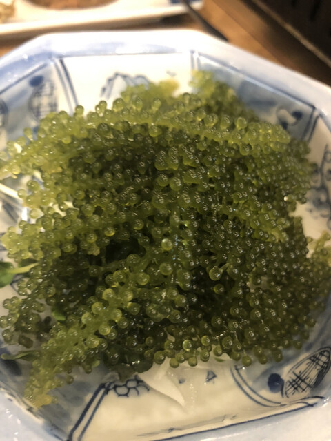 用戶對於磯丸水産 戸越銀座店的評論高清圖