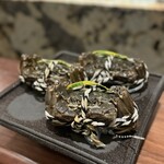 User's review image for KOBAYASHI