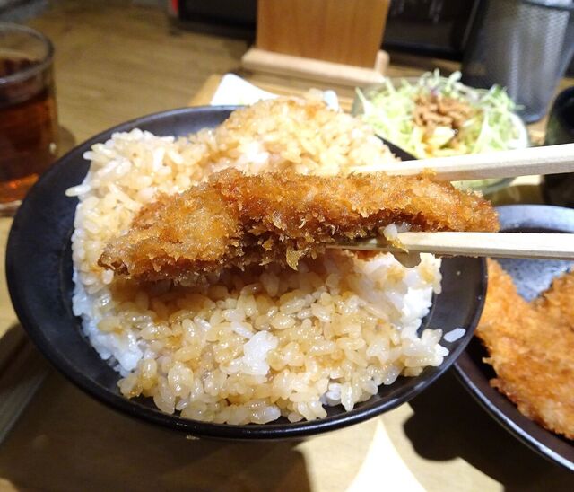 用户对于新潟カツ丼 タレカツ 神保町すずらん通り店的评论高清图