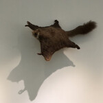 User's review image for タカオ 599カフェ