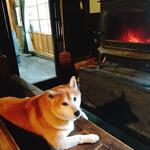 User's review image for HANASE HIGHLAND INN