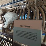 用户对于レストランくじら的评论图