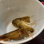 用户对于ぽんぽこたぬきのかくれ家的评论图