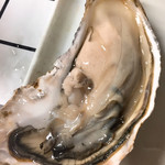 用戶對於池田商店的評論圖