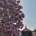 用户对于ターラ的评论图