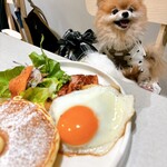User's review image for ENRICH