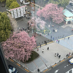 User's review image for 個室居酒屋 座楽 上野駅前店