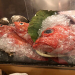 用户对于めんめ的评论图