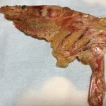 用戶對於越前海鮮倶楽部 大阪店的評論圖