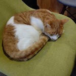 User's review image for Yogibo Versailles Resort Farm CAFE