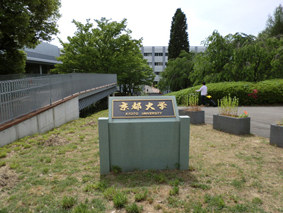 User's review image for カフェレストラン きはだ