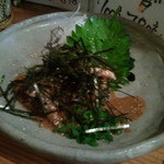 用户对于わらきたれ的评论图