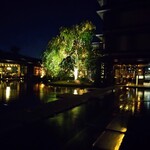 用户对于THE GARDEN BAR的评论图