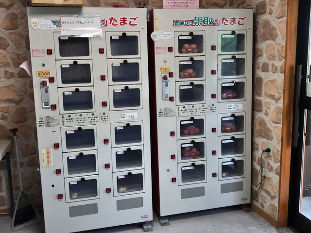 用户对于石川養鶏場的评论高清图