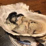 用户对于神楽坂 光石的评论图
