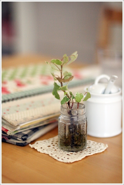 用戶對於シアン ア ラ モード的評論圖