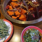 用户对于天府火鍋巷子的评论图