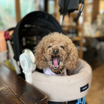 User's review image for Vegeto Coffee