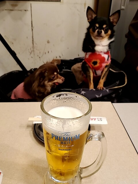 User's recommendation image for 串カツ田中 立川店