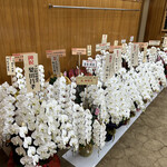 User's review image for ちゃんこ千代の富士