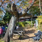 用户对于景信山頂上　景信茶屋　青木的评论图