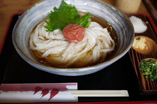 recommendations image for 名水うどん 野々傘